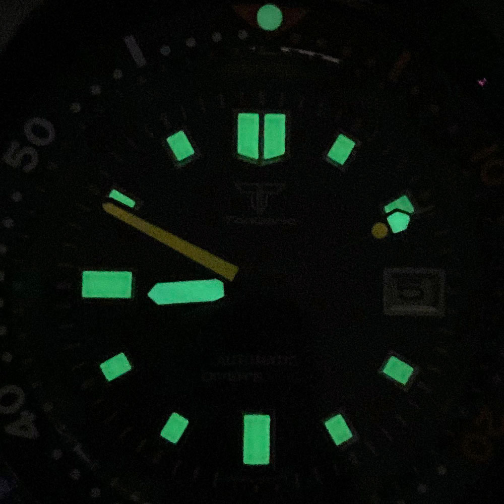 20ATM タンドリオ 44mm タートル 6105 スタイ - Luxury Watch With Green Dial のレビューと価格